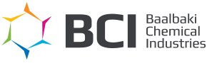 BCI Holding logo